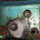 Illustration for article titled My Rusty Hell or: How I decided to restore an old, rusty, semi-obscure vehicle with no experience and even less money (Part 8)